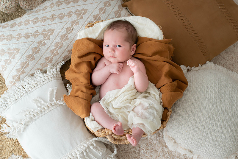 Newborn portrait