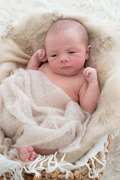 Newborn portrait