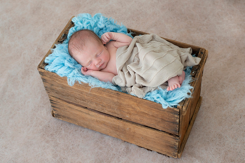 Newborn portrait