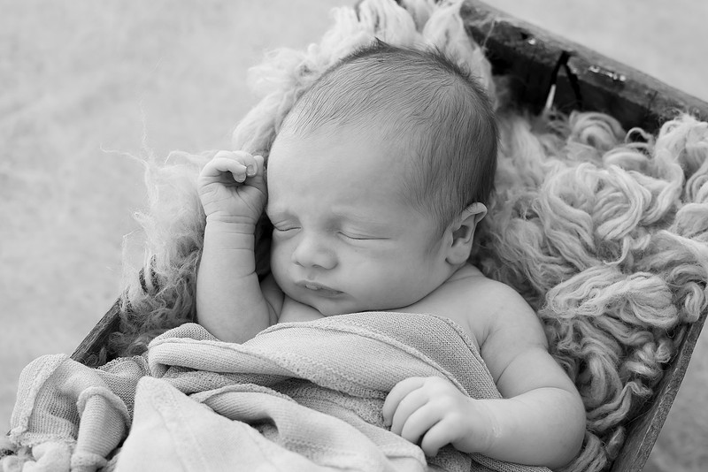 Newborn portrait