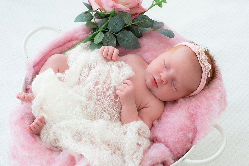 Newborn portrait