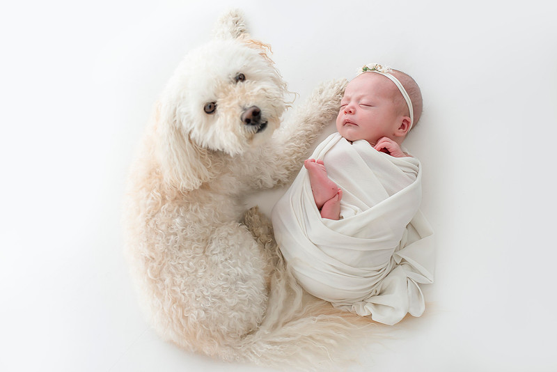 Newborn portrait